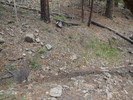 photo thumbnail #9