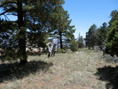 photo thumbnail #2