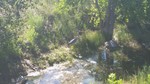 photo thumbnail #8