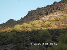 photo thumbnail #2