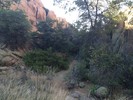 photo thumbnail #2