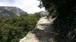 photo thumbnail #8