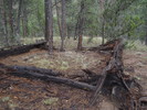 photo thumbnail #4
