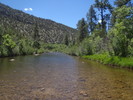 photo thumbnail #12