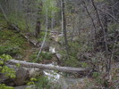 photo thumbnail #7