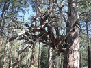 photo thumbnail #13