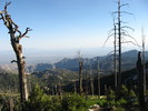 photo thumbnail #7