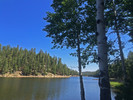 photo thumbnail #4