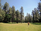 photo thumbnail #3