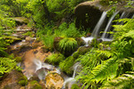 photo thumbnail #4