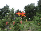 photo thumbnail #4
