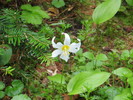 photo thumbnail #11
