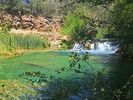 photo thumbnail #7