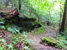 photo thumbnail #12