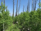 photo thumbnail #4