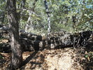 photo thumbnail #6