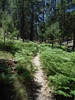 photo thumbnail #3