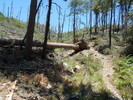 photo thumbnail #5
