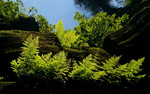 photo thumbnail #15