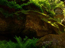 photo thumbnail #12