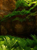 photo thumbnail #13