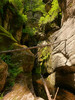 photo thumbnail #9