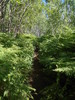 photo thumbnail #8