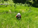 photo thumbnail #11