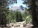 photo thumbnail #2