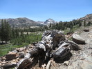 photo thumbnail #11