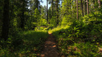 photo thumbnail #6