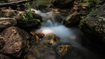 photo thumbnail #9