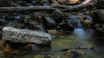 photo thumbnail #10