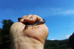 photo thumbnail #3