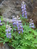 photo thumbnail #15