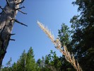 photo thumbnail #5