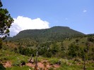 photo thumbnail #15