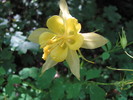 photo thumbnail #9