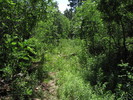 photo thumbnail #12