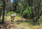 photo thumbnail #1