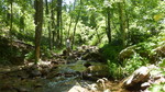 photo thumbnail #12