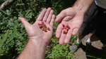 photo thumbnail #9