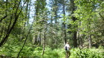 photo thumbnail #7