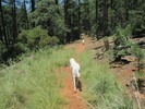 photo thumbnail #6