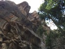 photo thumbnail #10