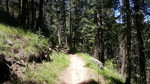 photo thumbnail #6