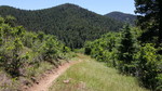 photo thumbnail #7