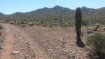 photo thumbnail #2