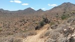 photo thumbnail #15