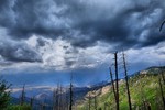 photo thumbnail #11
